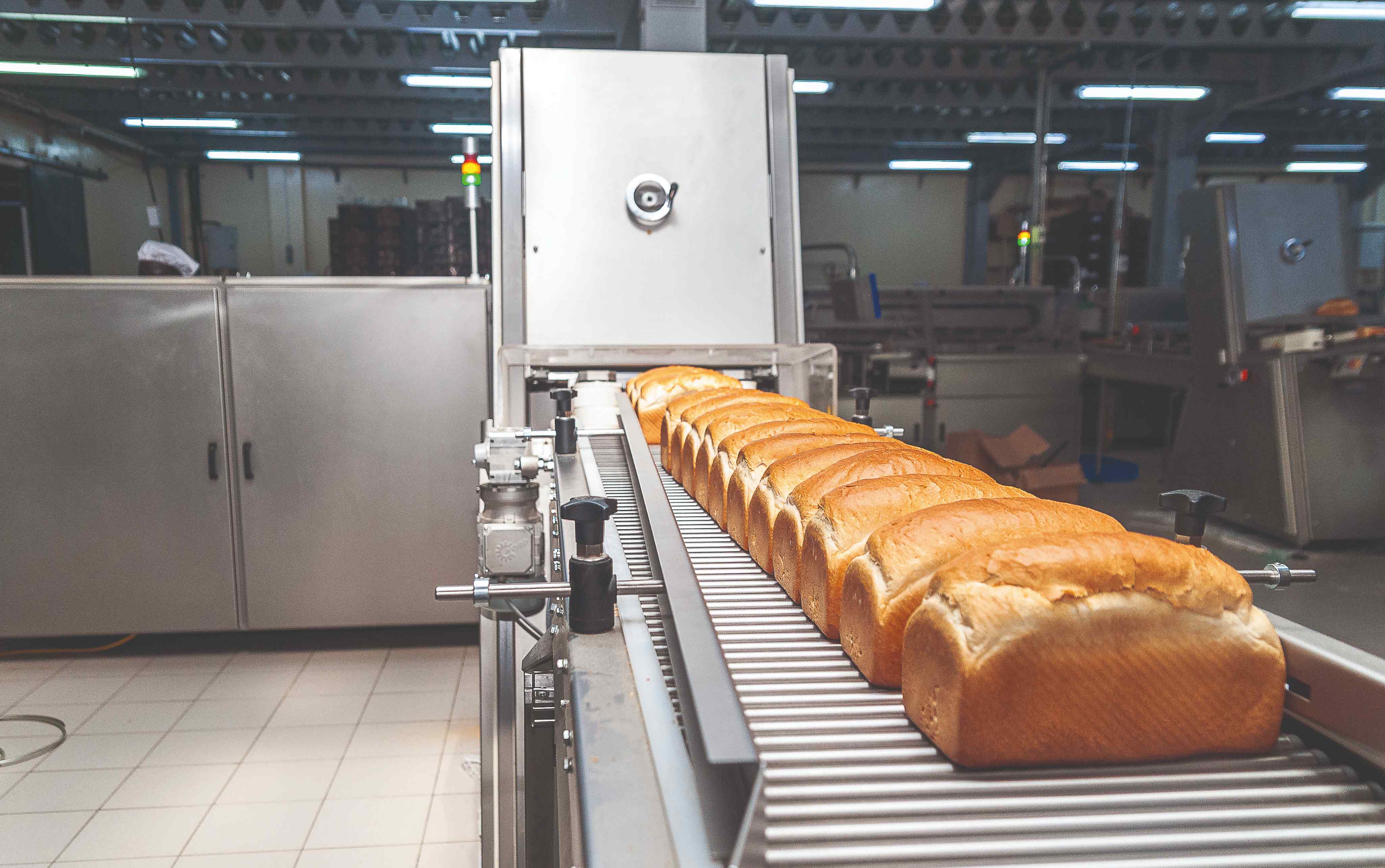 DPL Festive's automated bread production line with freshly baked loaves