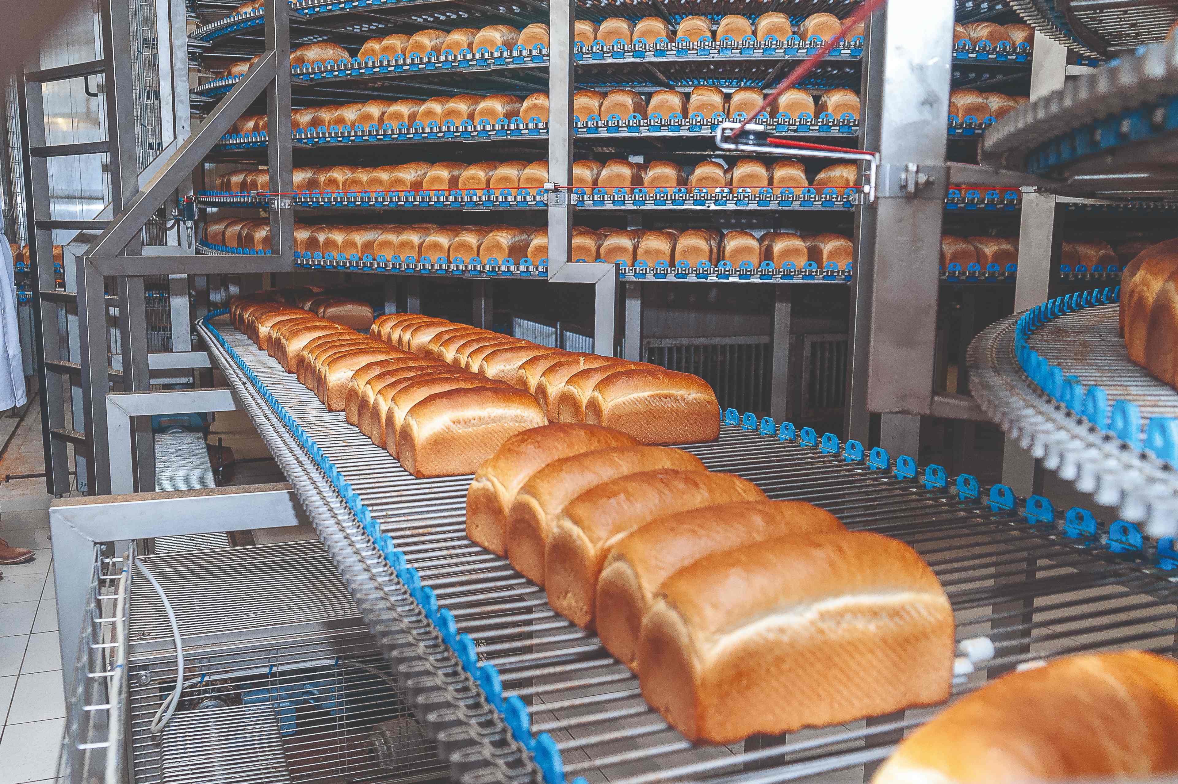 DPL Festive's Bread Line 3 with multiple racks of freshly baked bread
